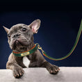 Load image into Gallery viewer, Customized Leather Dog Collar Leash Set
