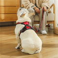 Load image into Gallery viewer, Two Leash Clips No-Pull Dog Vest Harness