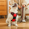 Load image into Gallery viewer, Two Leash Clips No-Pull Dog Vest Harness