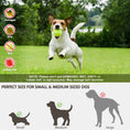 Load image into Gallery viewer, Automatic Dog Ball Launcher
