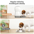 Load image into Gallery viewer, Smart Automatic Pet Food Dispenser 3.5L