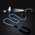 Load image into Gallery viewer, Reflective Dog Leash With Cozy Padded Handle