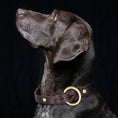 Load image into Gallery viewer, Genuine Durable Leather Dog Collar Leash Set