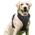 Load image into Gallery viewer, Two Leash Clips No-Pull Dog Vest Harness