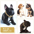 Load image into Gallery viewer, Jewelry Diamond Chain Dog Collar