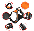 Load image into Gallery viewer, Two Leash Clips No-Pull Dog Vest Harness