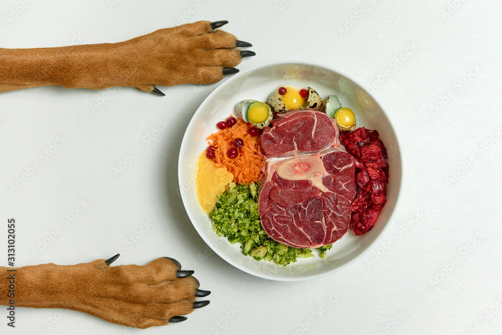 How Much Should You Really Feed Your Dog?